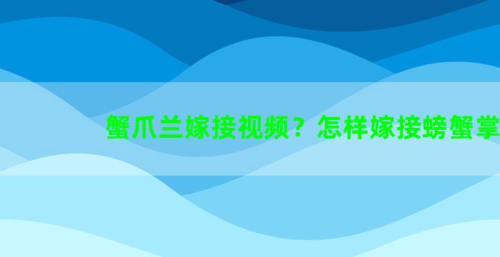 蟹爪兰嫁接视频？怎样嫁接螃蟹掌