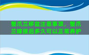 蟹爪兰移盆注意事项，蟹爪兰嫁接后多久可以正常养护