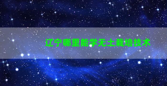 辽宁哪里能学无土栽培技术