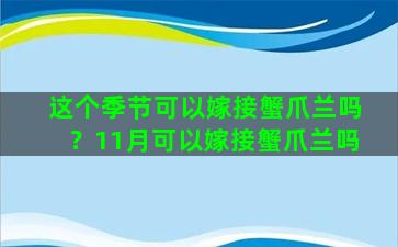 这个季节可以嫁接蟹爪兰吗？11月可以嫁接蟹爪兰吗