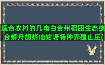 适合农村的几电白贵州稻田生态综合蜂舟胡蜂仙姑塘特种养殖山庄(农村适合的创业项目)