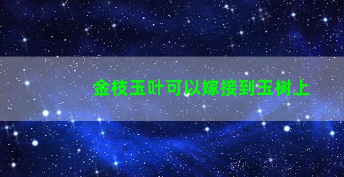 金枝玉叶可以嫁接到玉树上