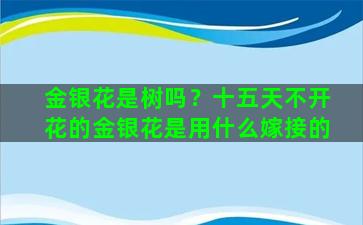 金银花是树吗？十五天不开花的金银花是用什么嫁接的