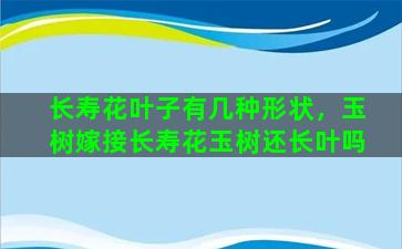 长寿花叶子有几种形状，玉树嫁接长寿花玉树还长叶吗