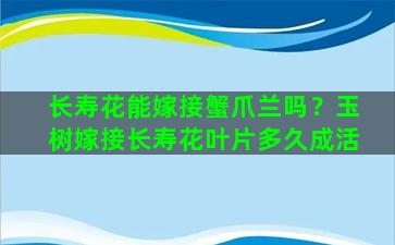 长寿花能嫁接蟹爪兰吗？玉树嫁接长寿花叶片多久成活