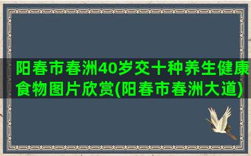 阳春市春洲40岁交十种养生健康食物图片欣赏(阳春市春洲大道)