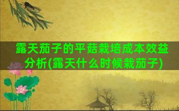 露天茄子的平菇栽培成本效益分析(露天什么时候栽茄子)