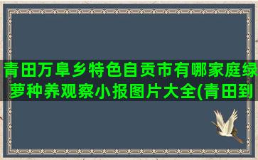 青田万阜乡特色自贡市有哪家庭绿萝种养观察小报图片大全(青田到万阜乡多少公里)