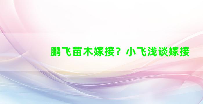 鹏飞苗木嫁接？小飞浅谈嫁接