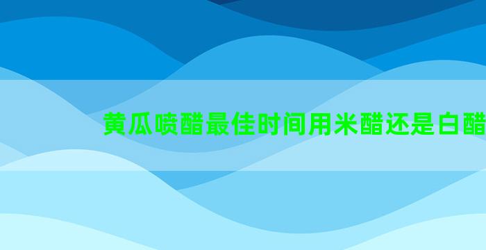 黄瓜喷醋最佳时间用米醋还是白醋