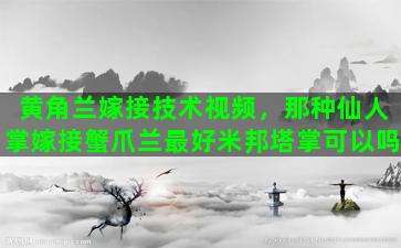 黄角兰嫁接技术视频，那种仙人掌嫁接蟹爪兰最好米邦塔掌可以吗